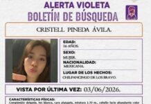 High school student goes missing in Chilpancingo, Guerrero