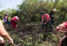 Guerrero Leads Mexico in Clandestine Graves as New Report Highlights Deepening Crisis