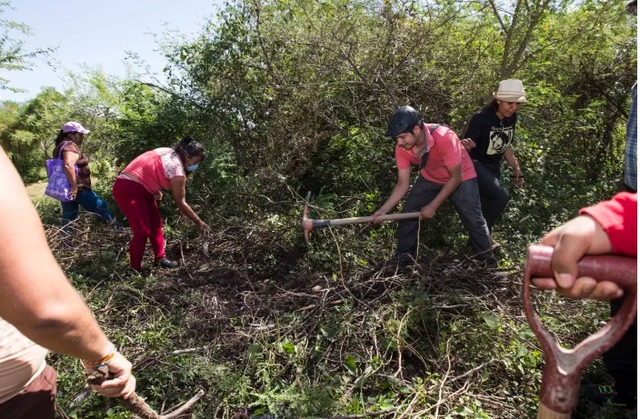 Guerrero Leads Mexico in Clandestine Graves as New Report Highlights Deepening Crisis